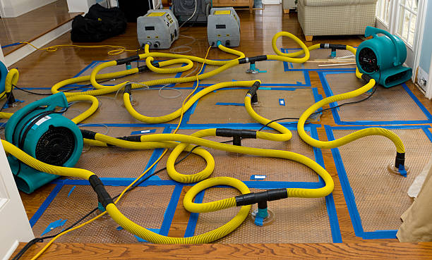 Professional Structural Drying And Dehumidification technician working in Quincy, IL